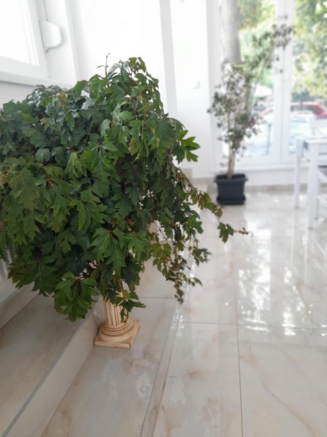 Orion Panzio Bed and Breakfast Hajdúszoboszló Εξωτερικό φωτογραφία